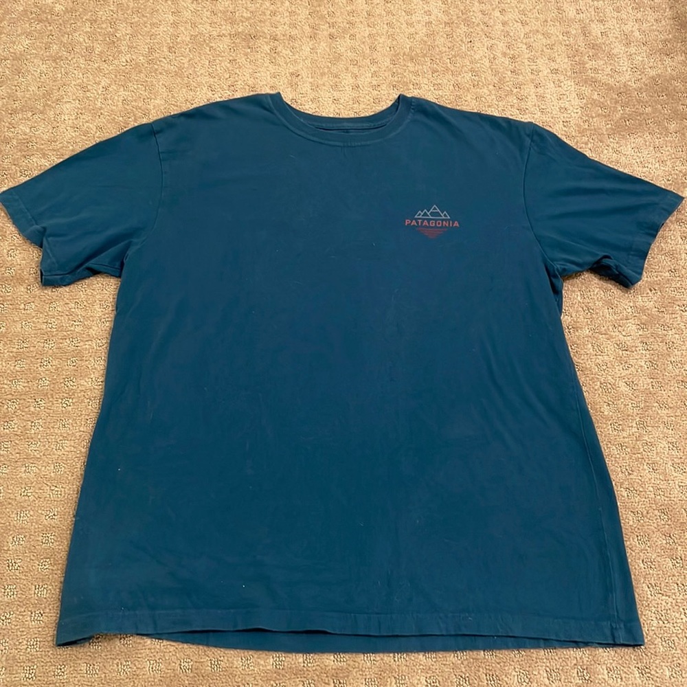 Patagonia Shirt
